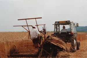 Thatching South Wales