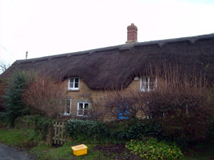 Wheat Reed Thatch