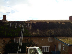 Wheat Reed Thatching