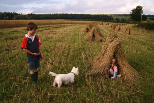 Thatching Cardiff
